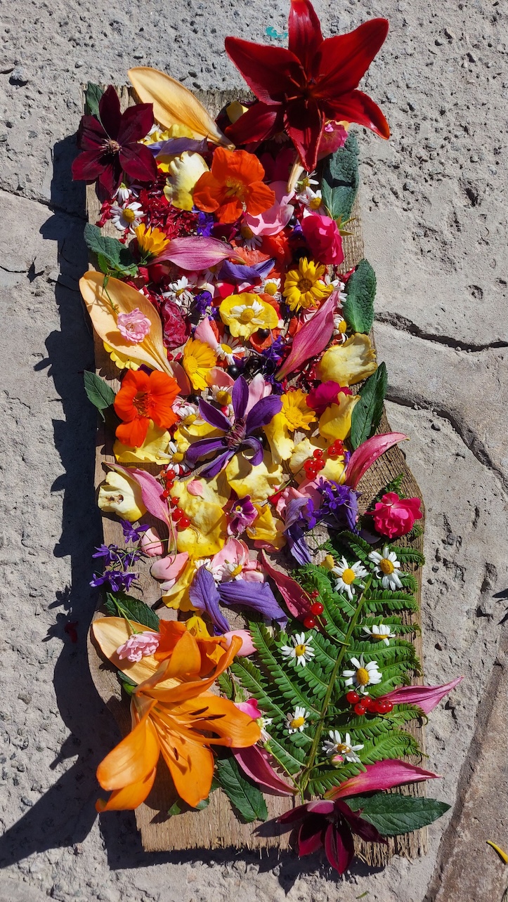 a colorful collage of flower heads connected together on a wooden plank