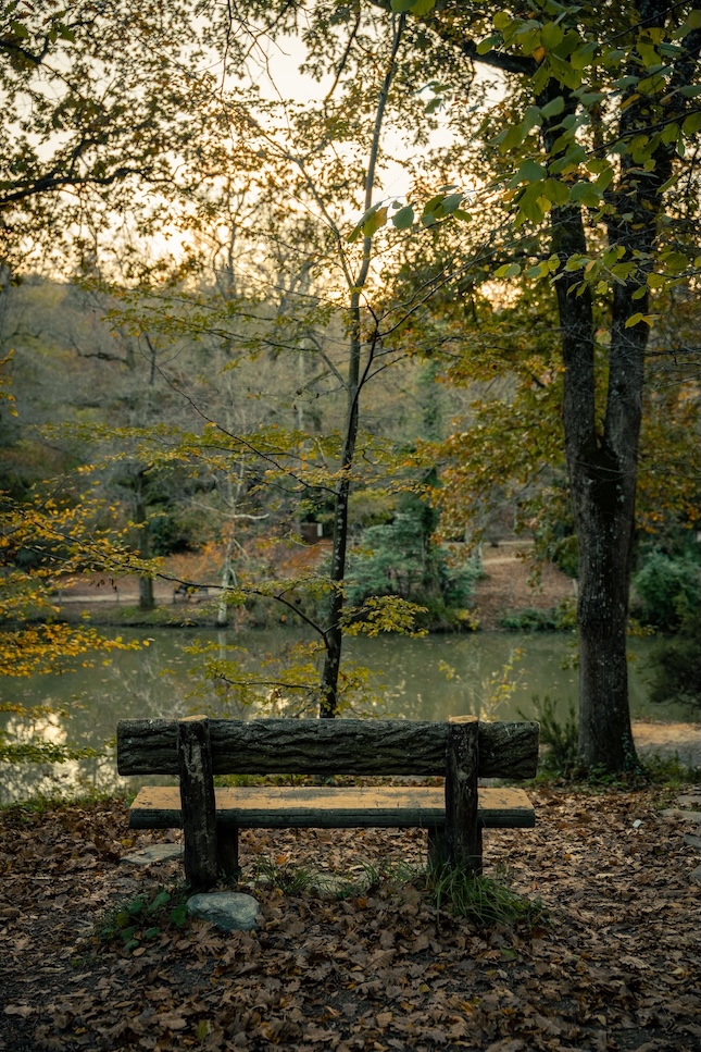 the focal point of the image is an empty bench in front of a still light greyish blue-green body of water